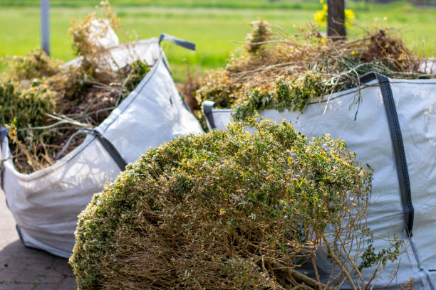 Best Construction Debris Removal  in Duncansville, PA