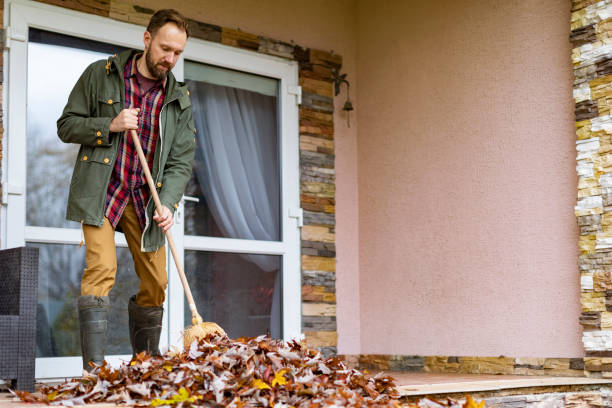 Best Affordable Junk Removal Services  in Duncansville, PA